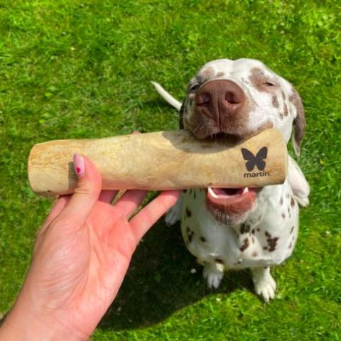 jouet-occupation-pour-lutter-contre-ennui-de-mon-chien
